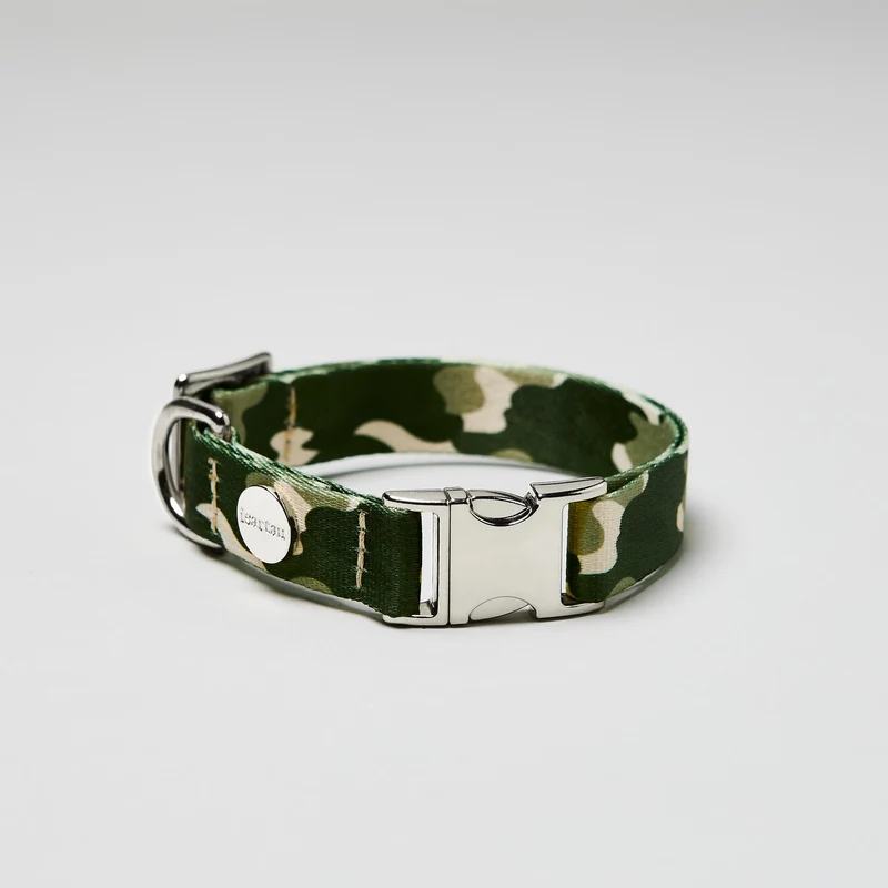 Welpenhalsband ENTDECKER