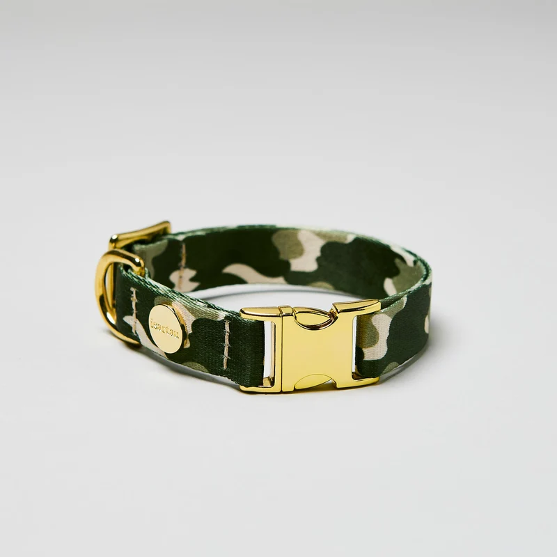 Welpenhalsband ENTDECKER