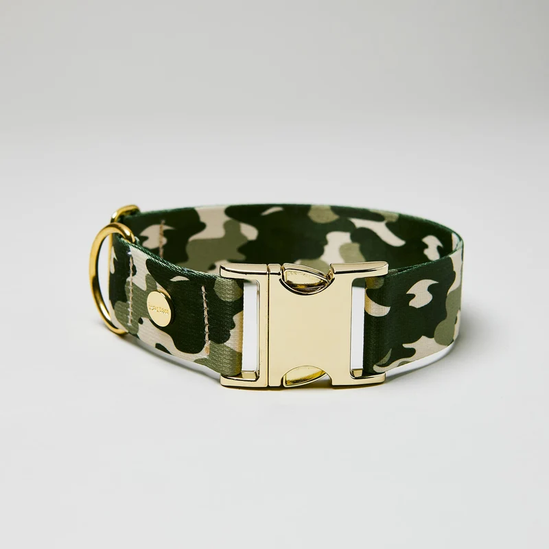 Welpenhalsband ENTDECKER