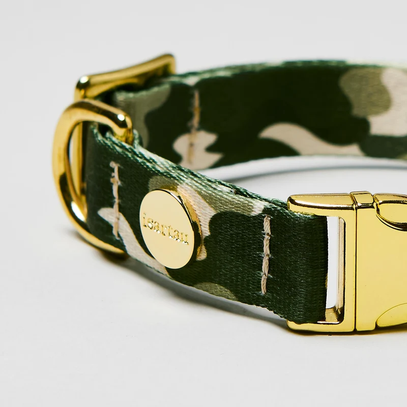 Welpenhalsband ENTDECKER
