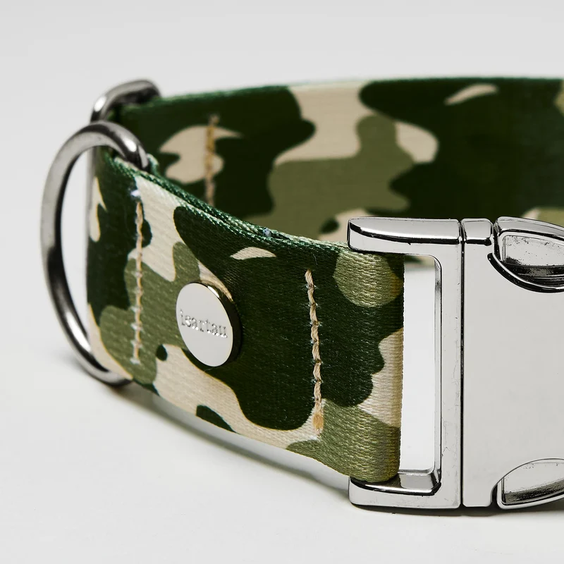 Welpenhalsband ENTDECKER