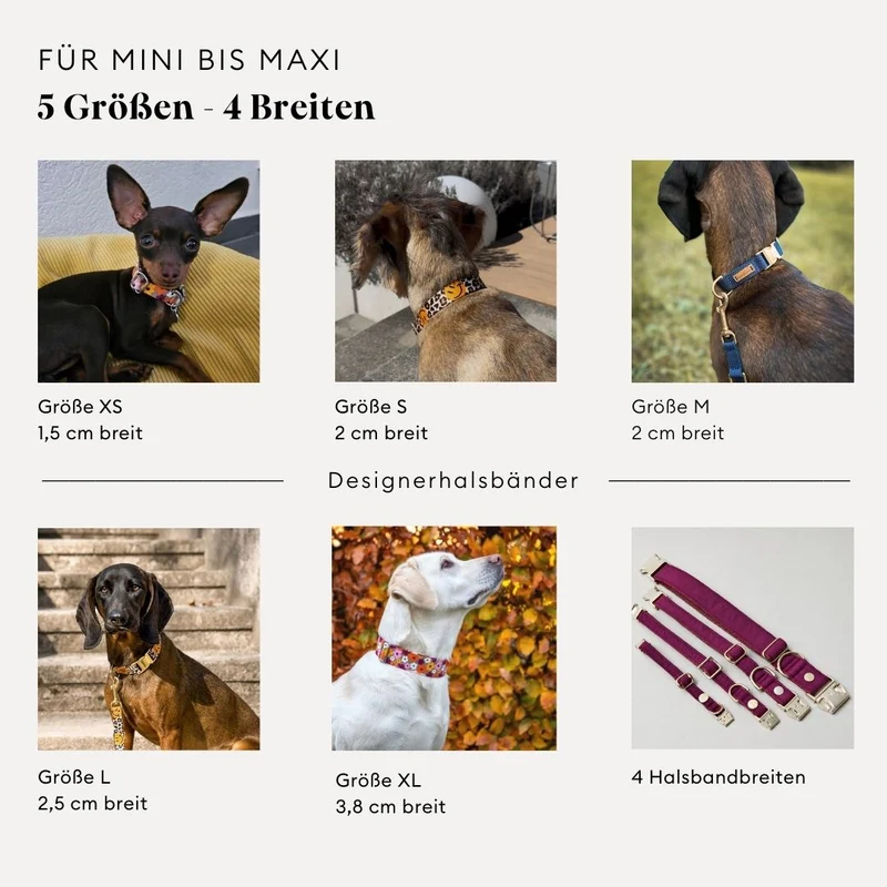 Designerhalsband TÄNZER