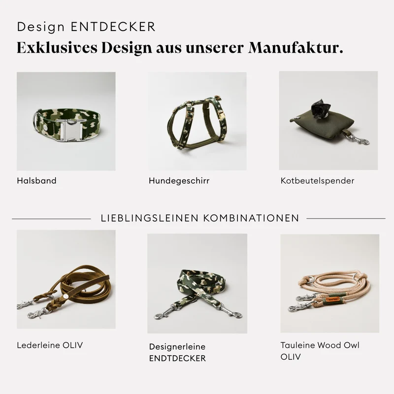 Welpenhalsband ENTDECKER