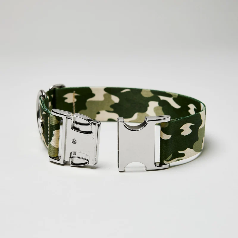 Welpenhalsband ENTDECKER