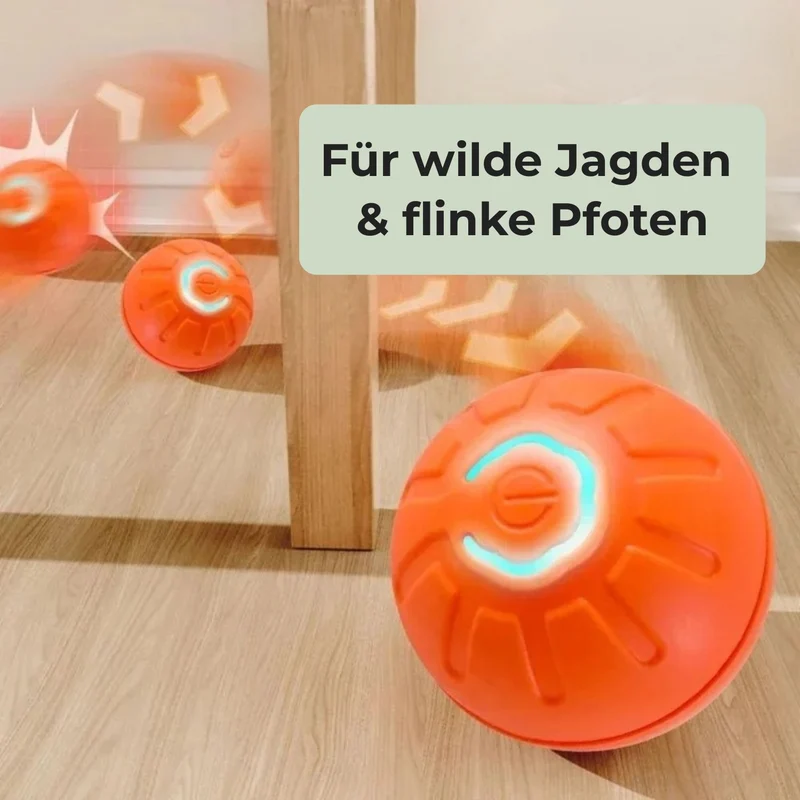 Hundeball 'PureMotion' – HUNDESCHATZ™