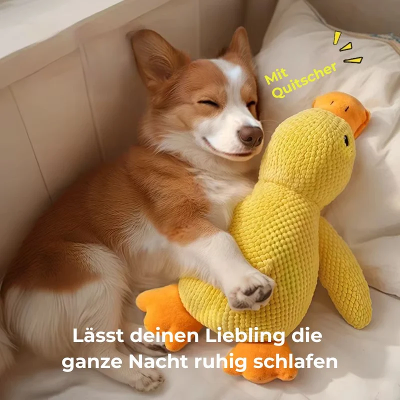Hundespielzeug „Quietschente“ – HUNDESCHATZ™