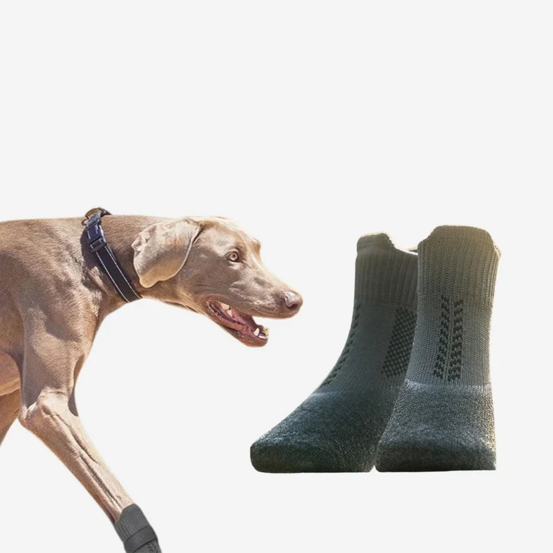 Hundeschuhe „PawGuard“ – HUNDESCHATZ™