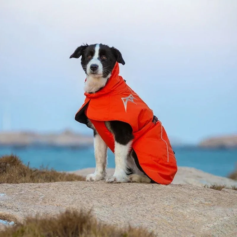 Hundemantel "Winter Extreme" – HUNDESCHATZ™