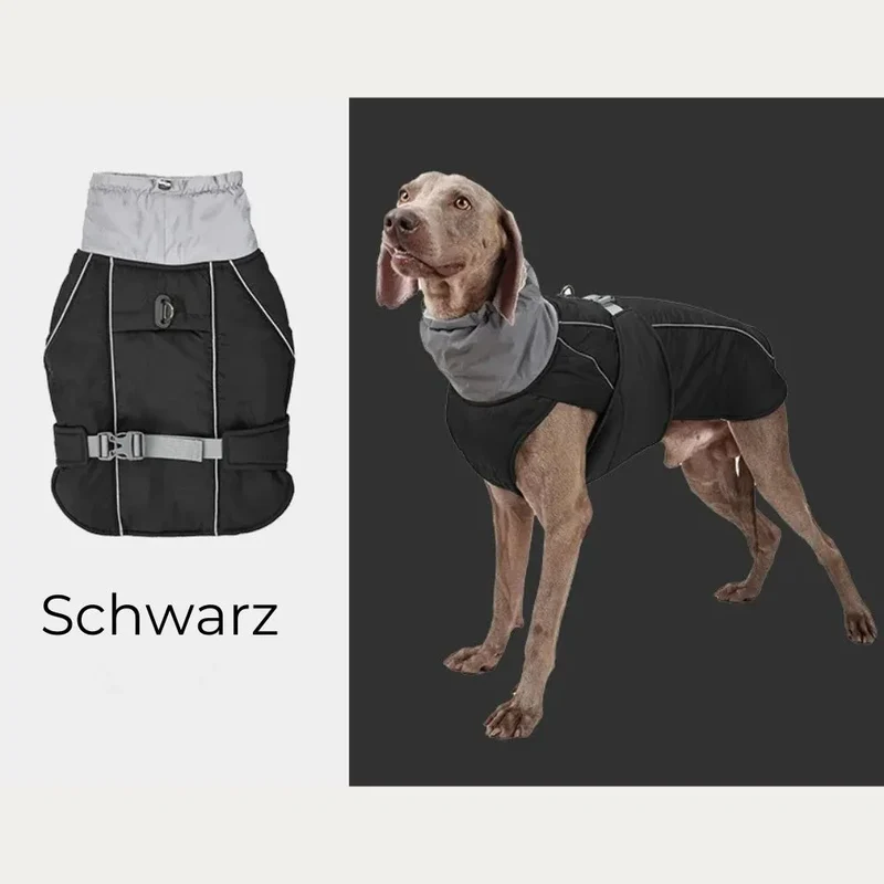 Hundejacke „Nordwind“ – HUNDESCHATZ™