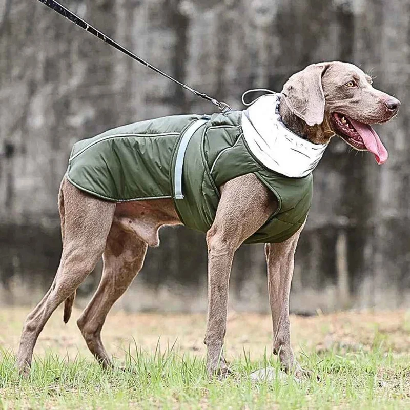 Hundejacke „Nordwind“ – HUNDESCHATZ™