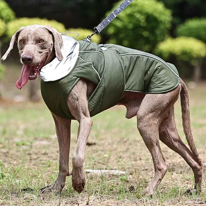 Hundejacke „Nordwind“ – HUNDESCHATZ™