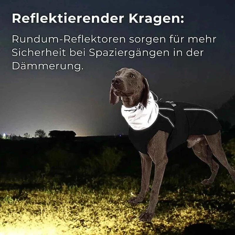 Hundejacke „Nordwind“ – HUNDESCHATZ™