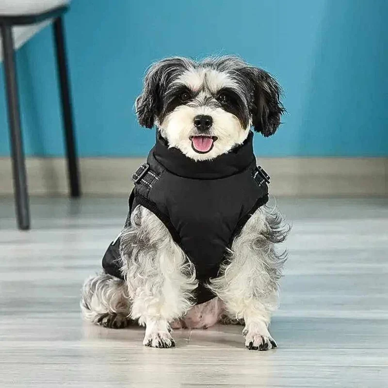 Hundemantel „AllWeather“ – HUNDESCHATZ™