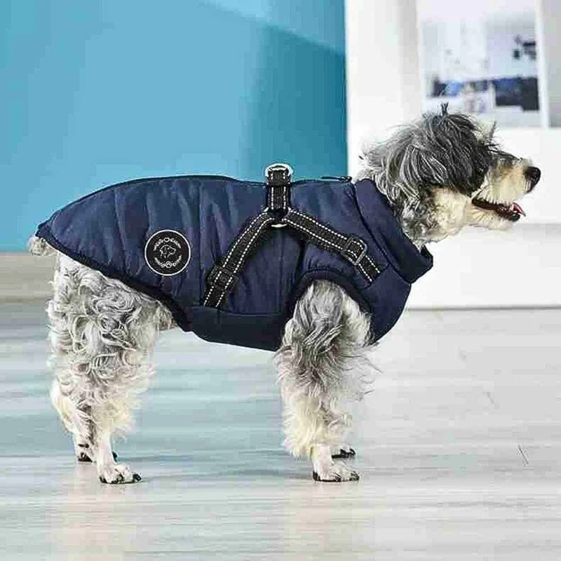 Hundemantel „AllWeather“ – HUNDESCHATZ™
