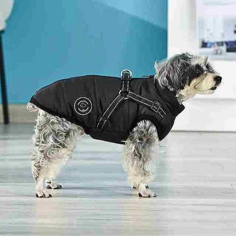 Hundemantel „AllWeather“ – HUNDESCHATZ™