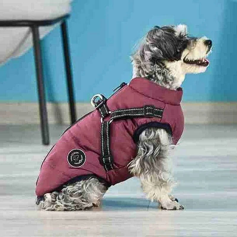 Hundemantel „AllWeather“ – HUNDESCHATZ™