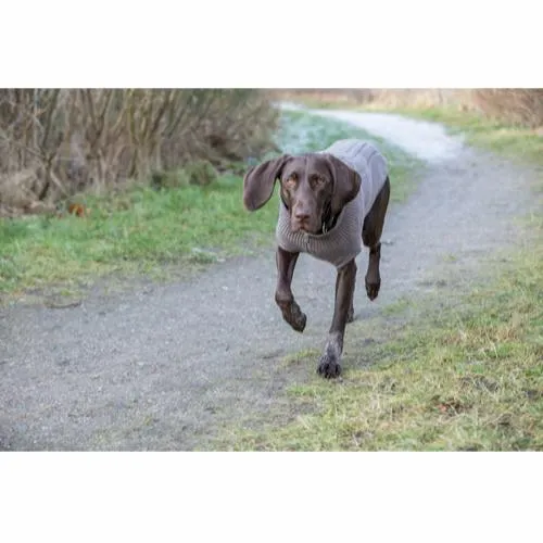 Trixie Hundepullover – „Kenton“ – Beige