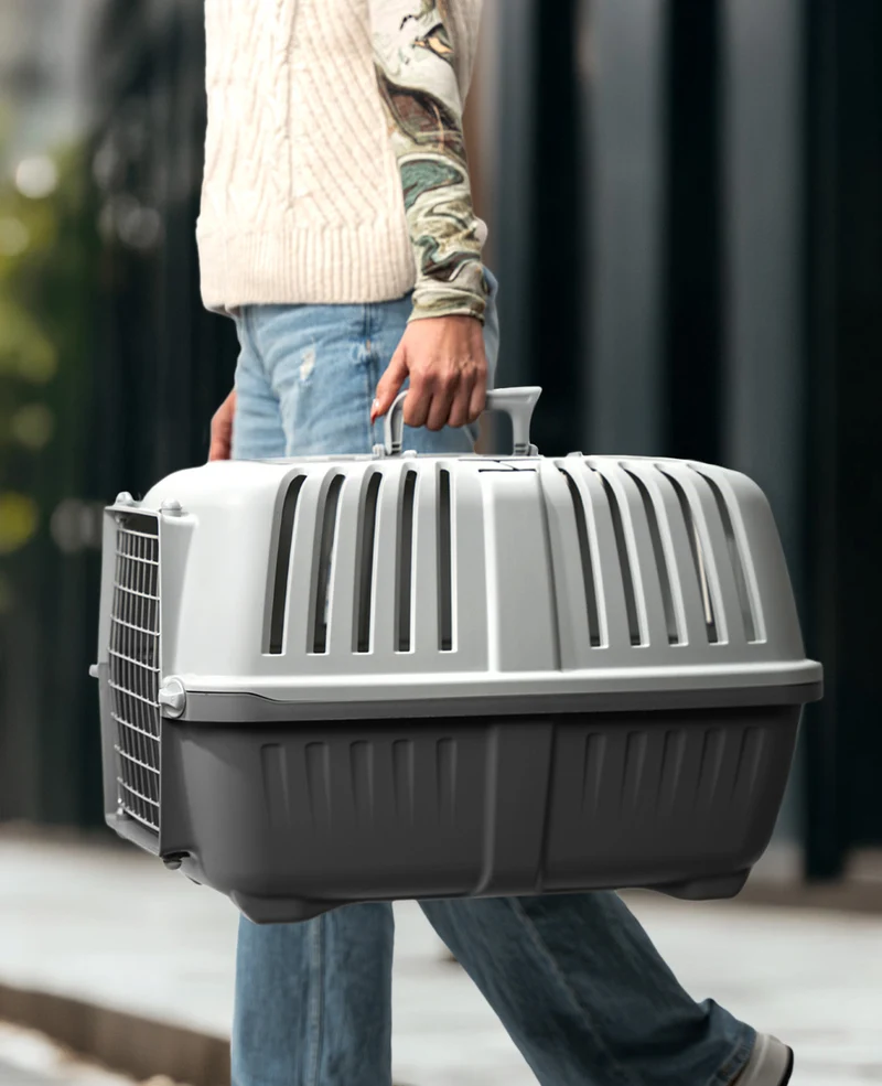 Transportbox aus Kunststoff mit Metallgitter