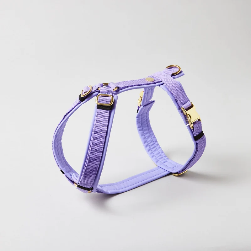 Hundegeschirr Softie LAVENDEL