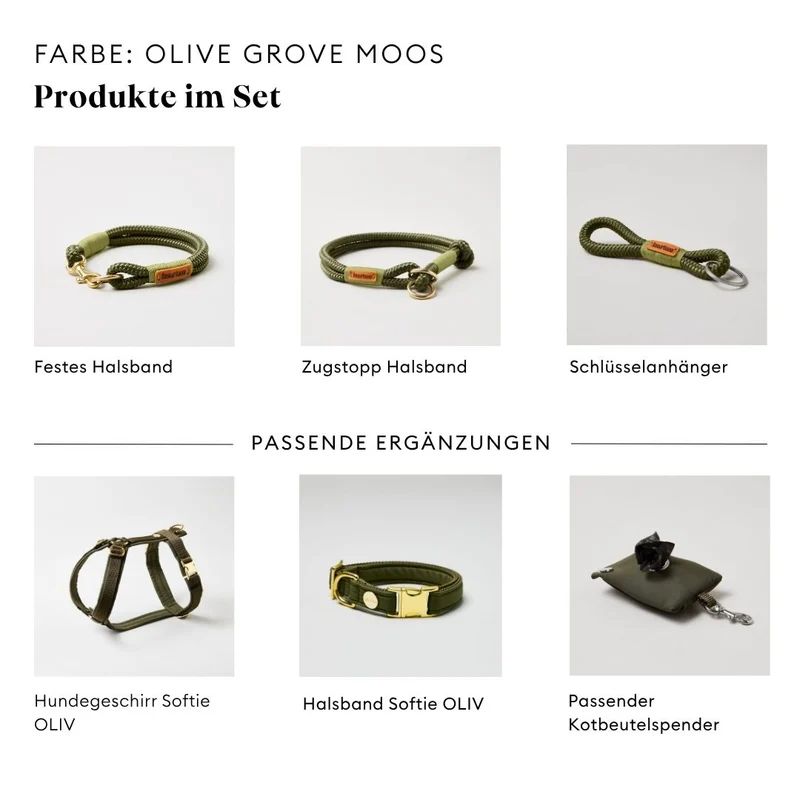Festes Halsband Olive Grove MOOS