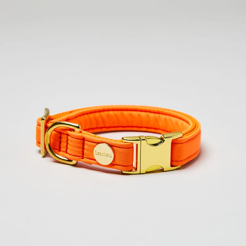 Welpenhalsband Softie NEONORANGE