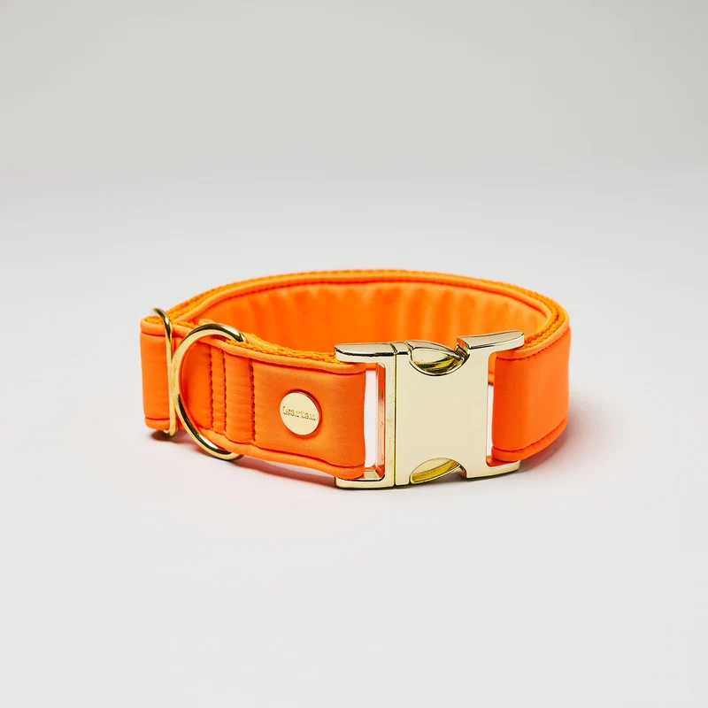 Welpenhalsband Softie NEONORANGE