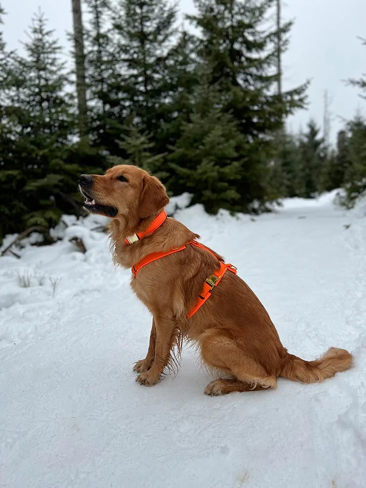 Hundegeschirr Softie NEONORANGE