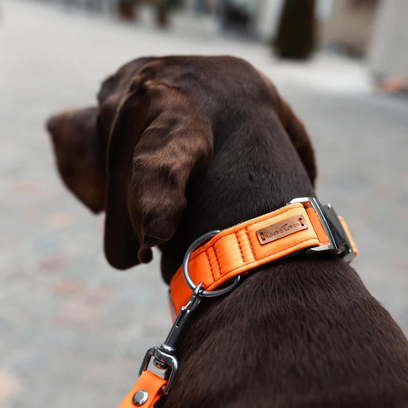 Halsband Softie NEONORANGE