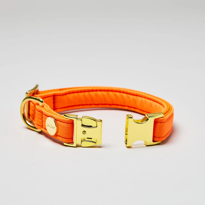 Welpenhalsband Softie NEONORANGE