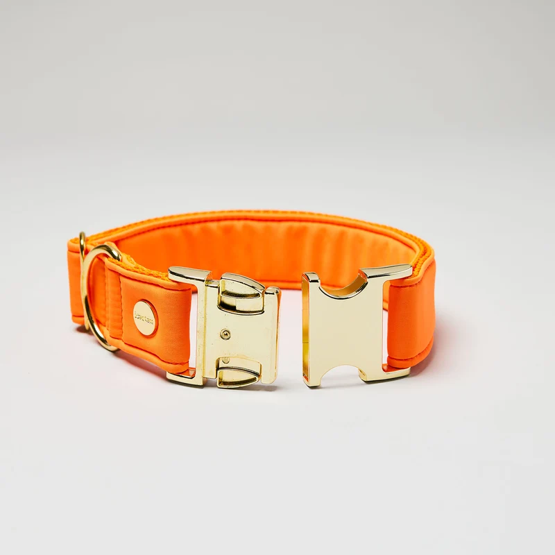 Welpenhalsband Softie NEONORANGE