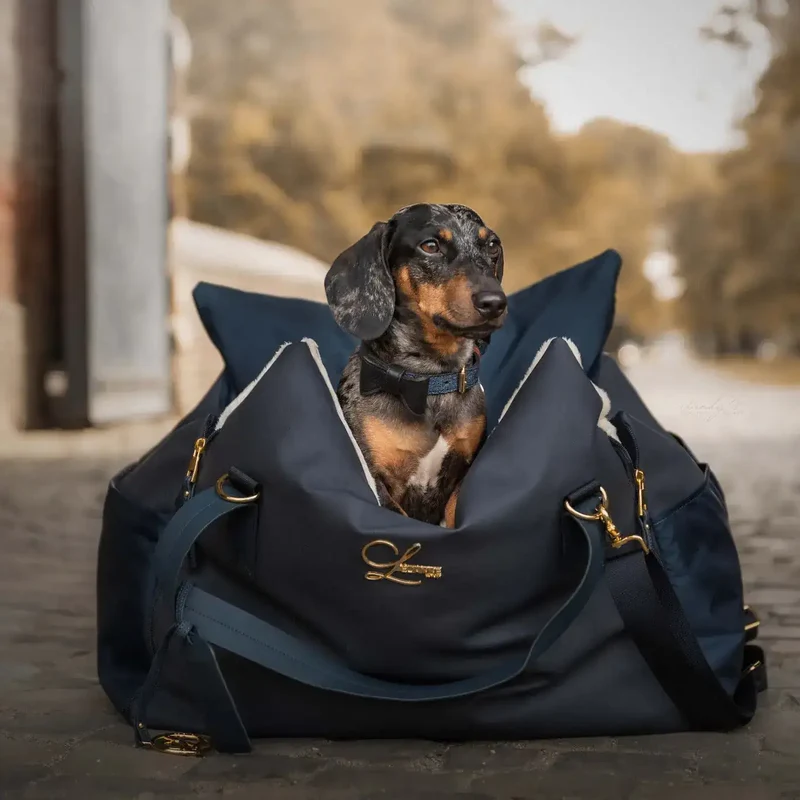 Designer Autokissen