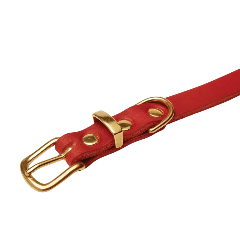 Butter Leather Halsband