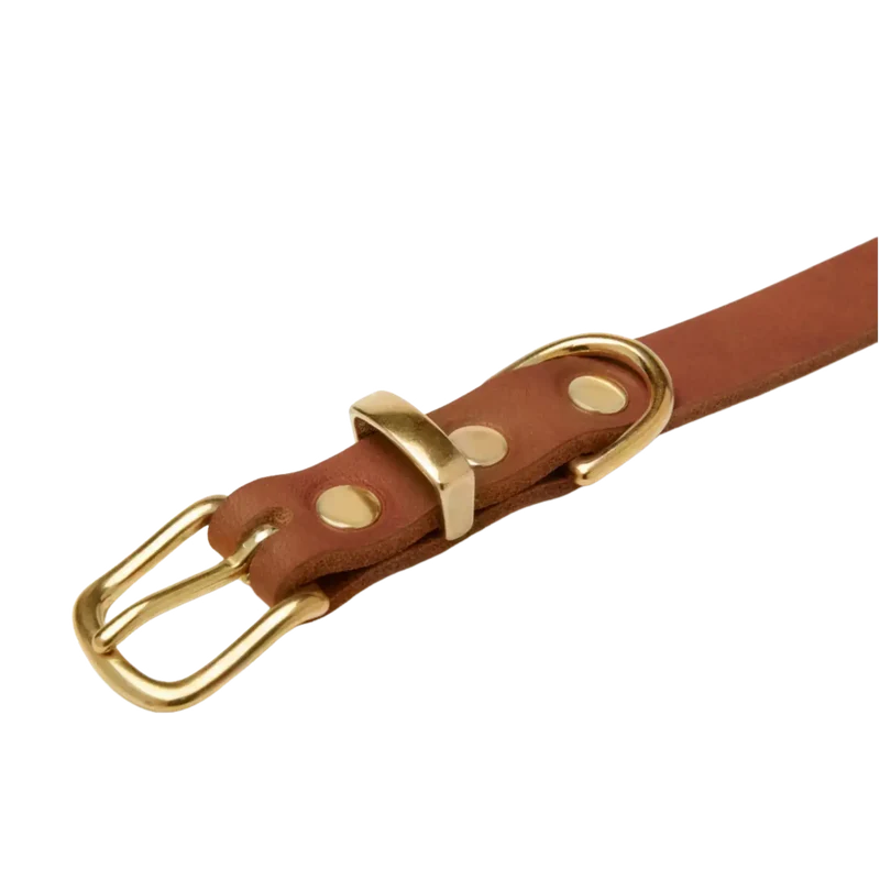 Butter Leather Halsband