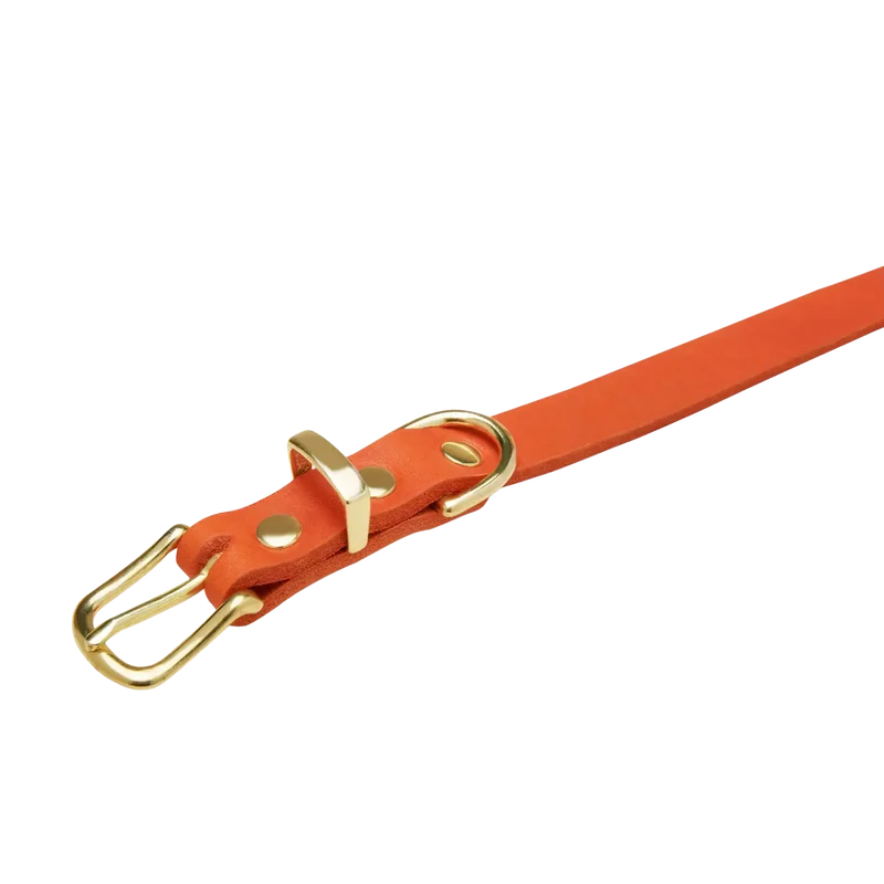 Butter Leather Halsband