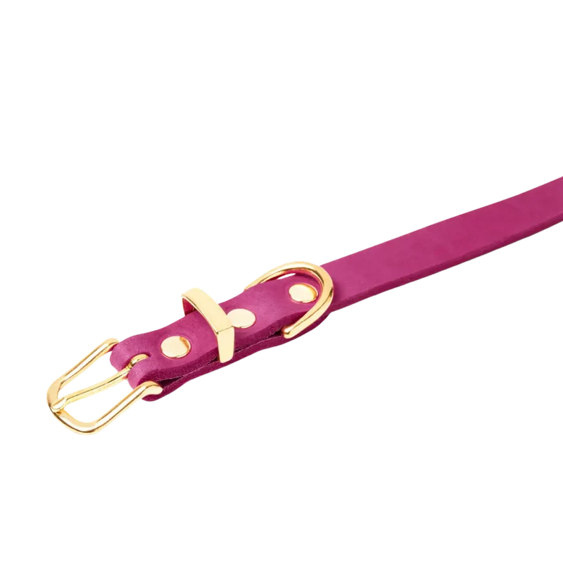 Butter Leather Halsband