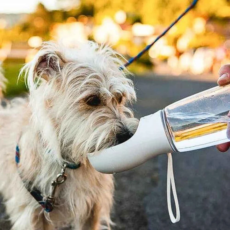 2in1 Hundetrinkflasche „TravelBottle“ – HUNDESCHATZ™