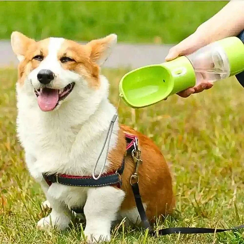 2in1 Hundetrinkflasche „TravelBottle“ – HUNDESCHATZ™