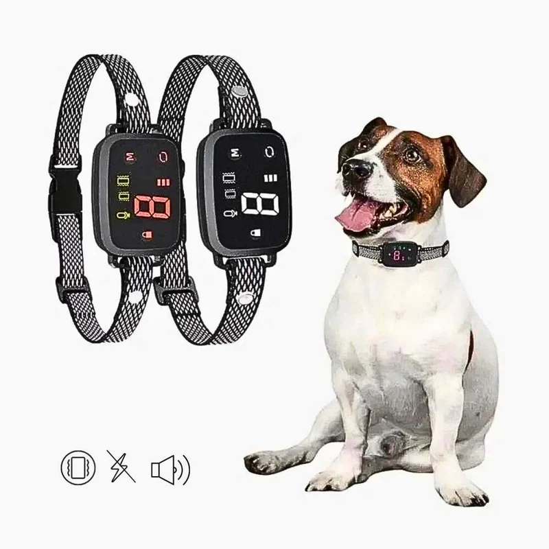 Anti-Bell Halsband „SilentControl“ – HUNDESCHATZ™