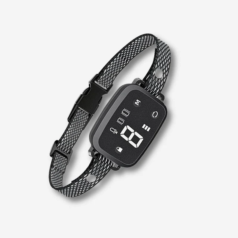 Anti-Bell Halsband „SilentControl“ – HUNDESCHATZ™