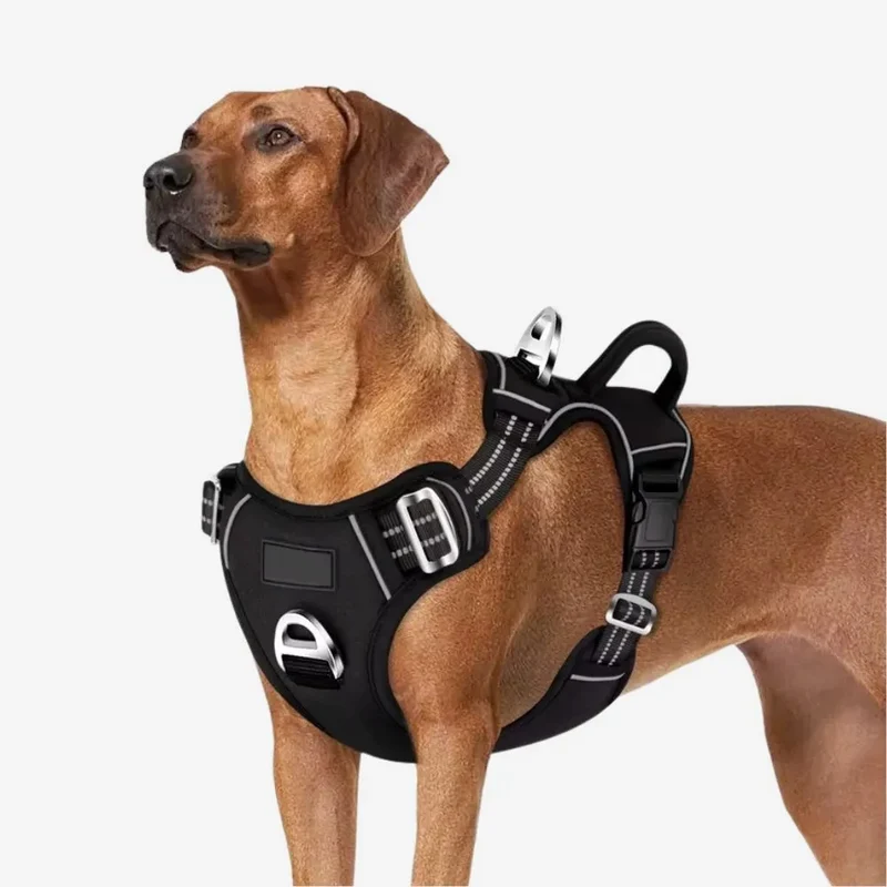 Hundegeschirr „Anti-Zug“ – HUNDESCHATZ™