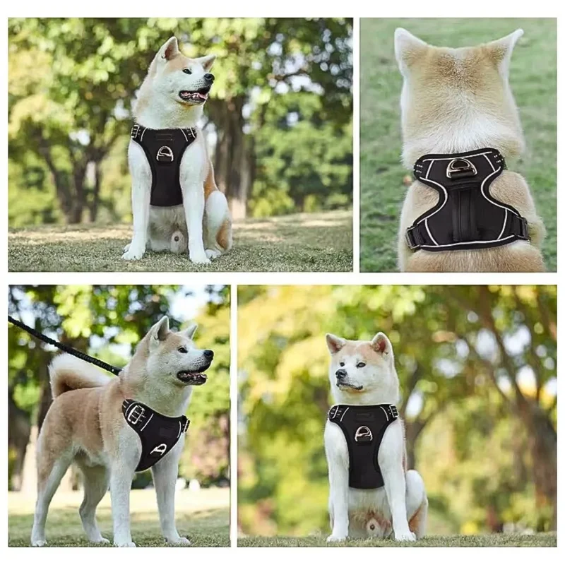 Hundegeschirr „Anti-Zug“ – HUNDESCHATZ™
