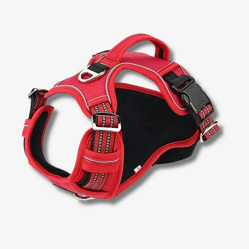 Hundegeschirr „Anti-Zug“ – HUNDESCHATZ™