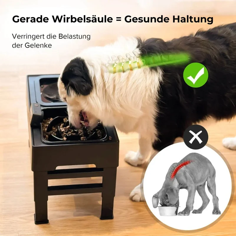 Anti Schling Hundenapf "AmiCura" – HUNDESCHATZ™