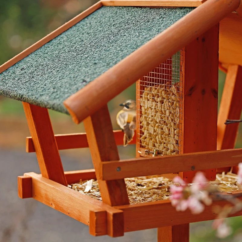 lionto Vogelhaus Futterhaus Vogelfutterhaus mit wetterfestem Dach und Ständer
