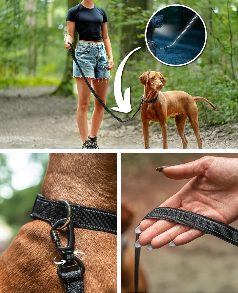 Gummierte Führleine für Hunde, reflektierend