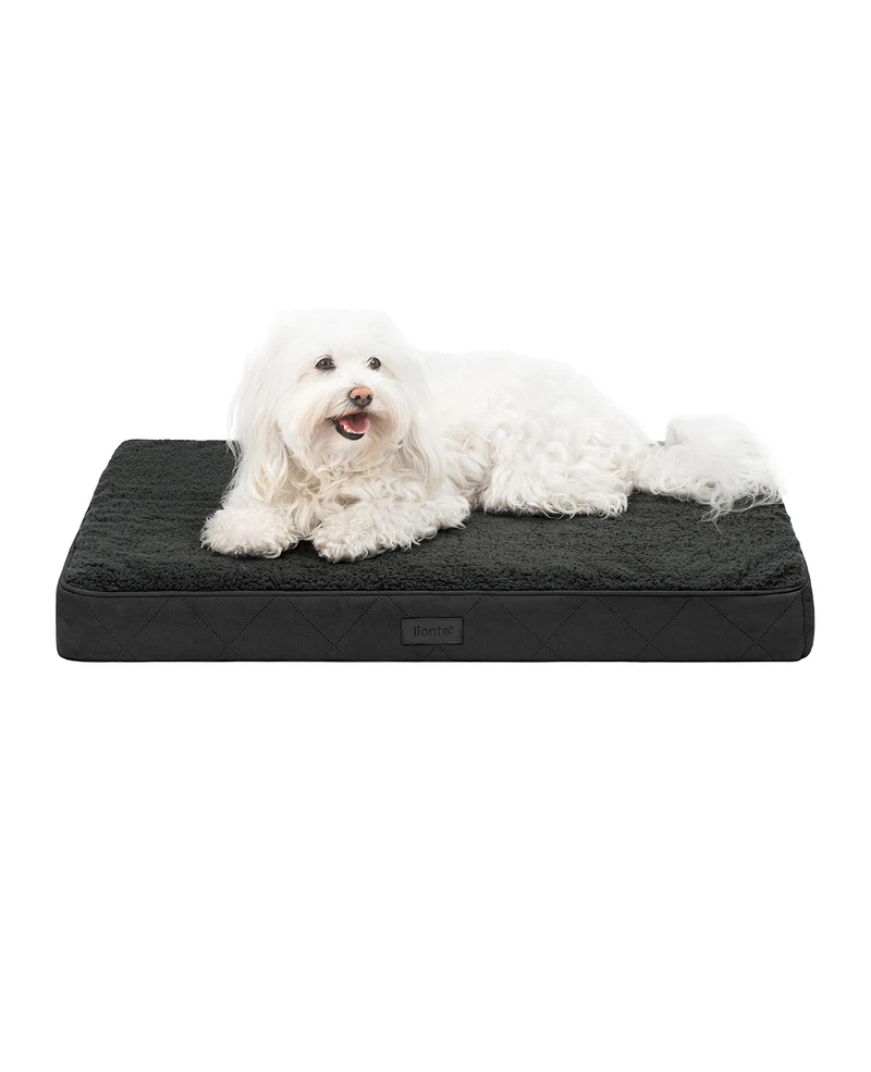 Orthopädisches Hundebett mit Plüsch