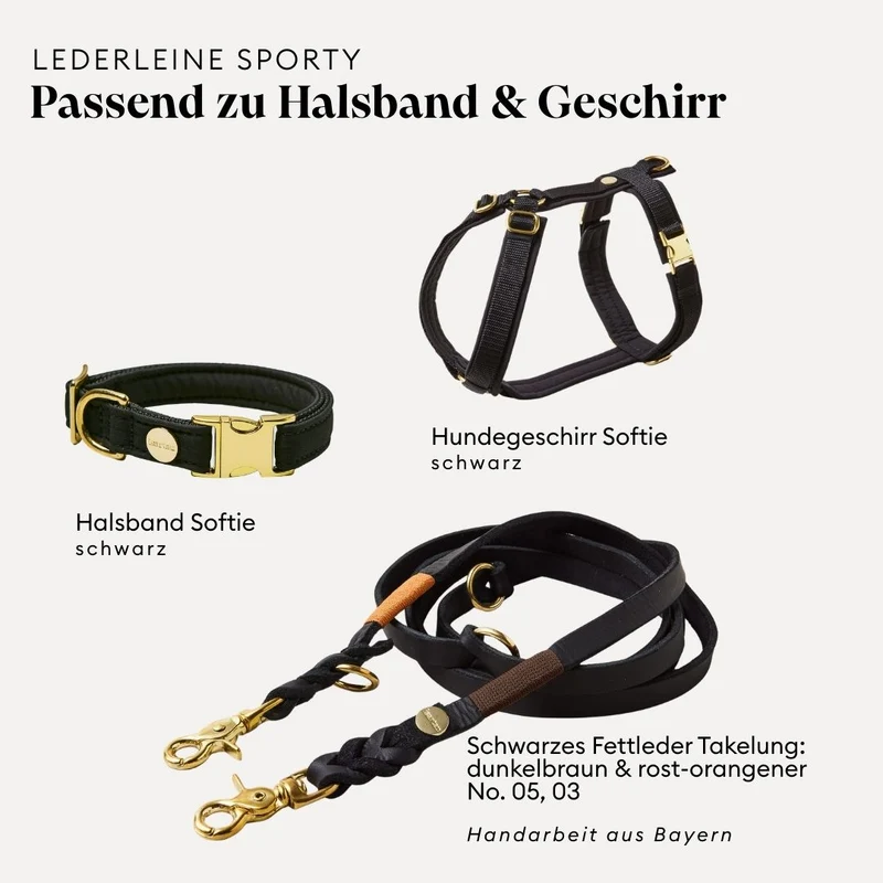 Lederleine SPORTY 190 cm, SCHWARZ (Standard Leine)
