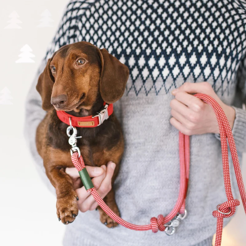Halsband Softie ROT