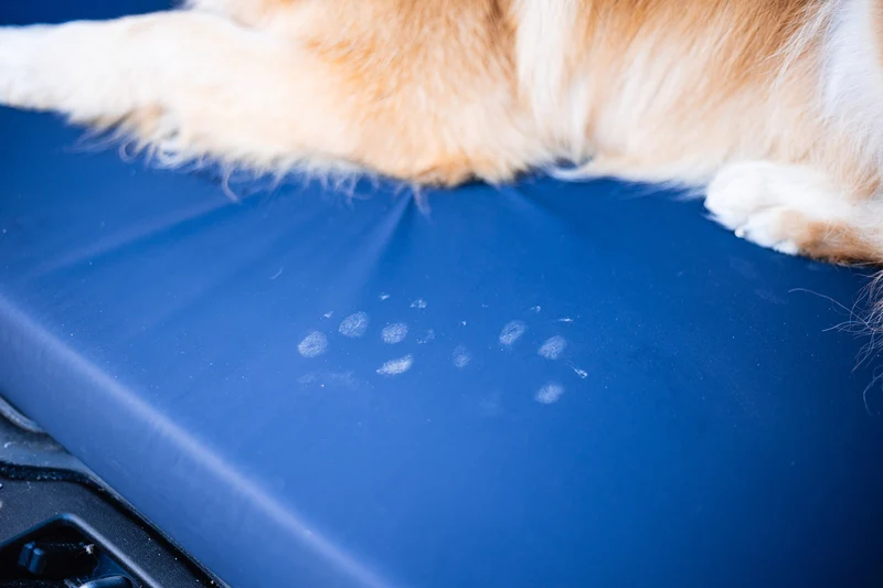 Hundematte eckig, Ortho, SAFE BLAU