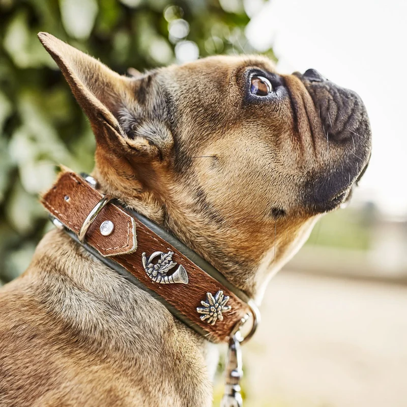 Bavaria Halsband